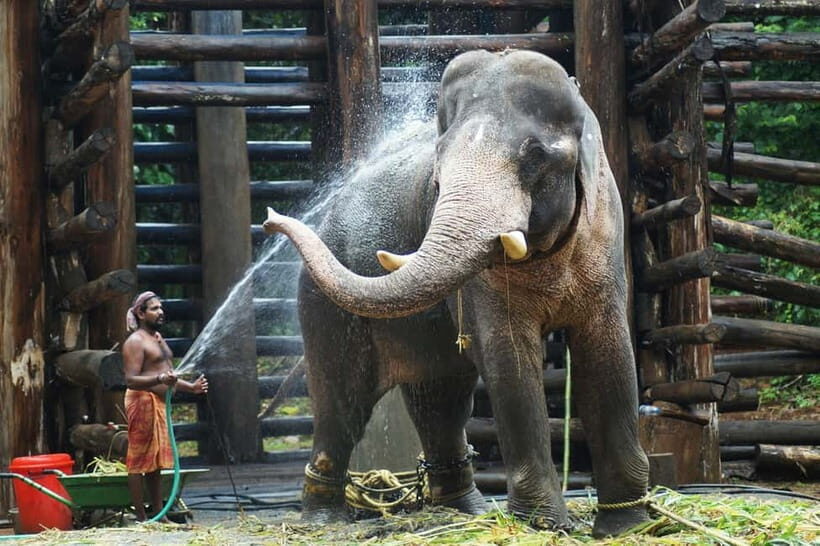 Agra: Taj Mahal Sunrise Tour with Elephant Sanctuary - Why Taj Mahal Sunrise Feels Different Than Any Other Time