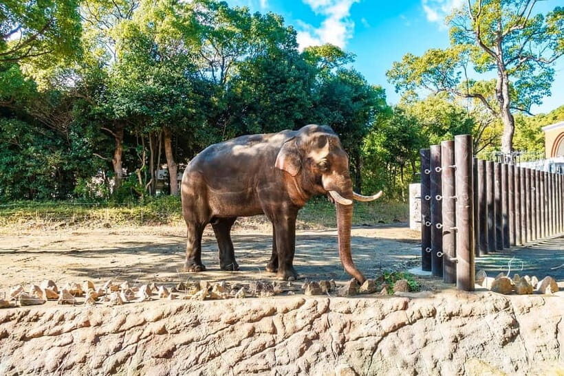 Agra: Taj Mahal Sunrise Tour with Elephant Sanctuary - Timing and Pacing: How the Day Stays Manageable