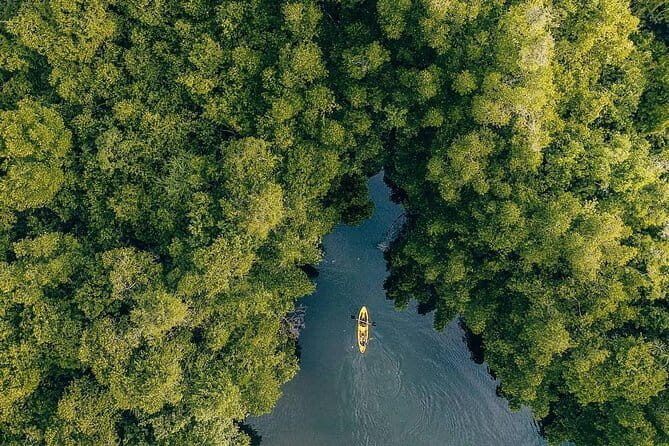 Airport Transport in Colombo - 24/7 Multilingual Support: The Backup You Hope You Won’t Need
