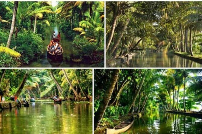 Alasr Lakeview Cruise /Hourly Trips to Backwater of Alleppey - Key Highlights You’ll Actually Notice