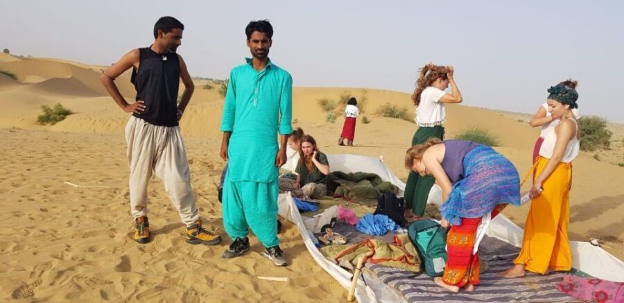 All-Day Desert Safari with Cultural Program - Key highlights that actually matter