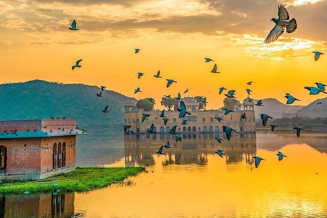 All Inclusive : 5 Days Golden Triangle Tour : Delhi, Agra, Jaipur - Jaipur Day 4: Amer Hills, City Palace, and Hawa Mahal Views