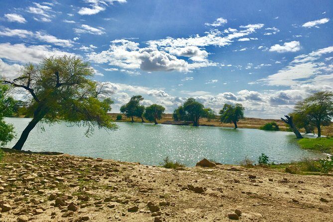 An Overnight Non-touristic Camel Safari (2PM to 11:30 AM Next Day) - Sleeping in a real bed under stars (with the one important catch)