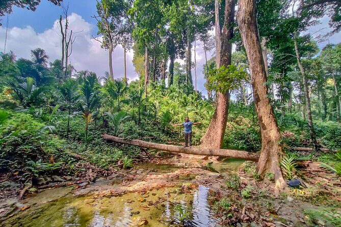 Ancient Lava Stream Trek through dense Tropical forest. - Why an Ancient Lava Stream Trek Works on Havelock Island