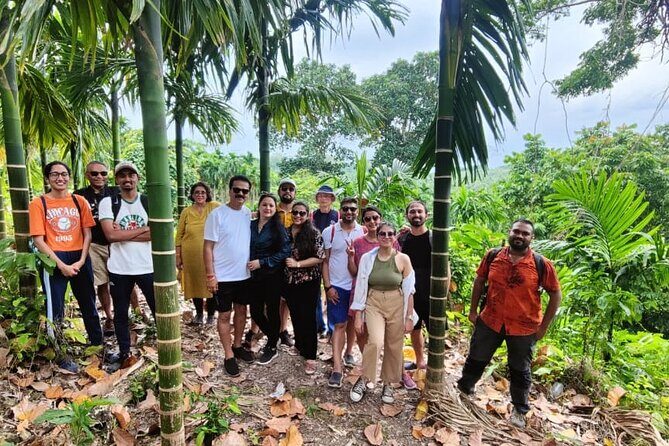 Ancient Lava Stream Trek through dense Tropical forest. - The 1:00 pm, 2.5-hour flow: what the trail rhythm feels like
