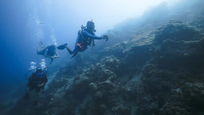 Andaman: Havelock Scuba Diving by PADI 5-Star Dive Center - What stands out (and what to watch)