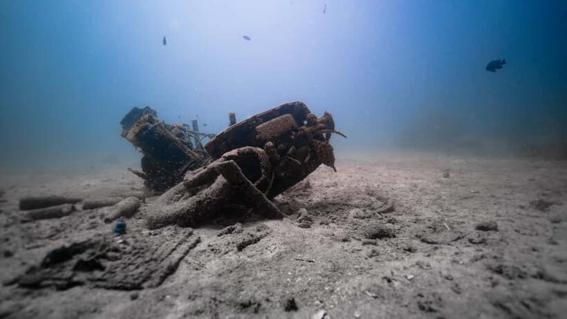 Andaman: Havelock Scuba Diving by PADI 5-Star Dive Center - Price and value: what $65 really covers