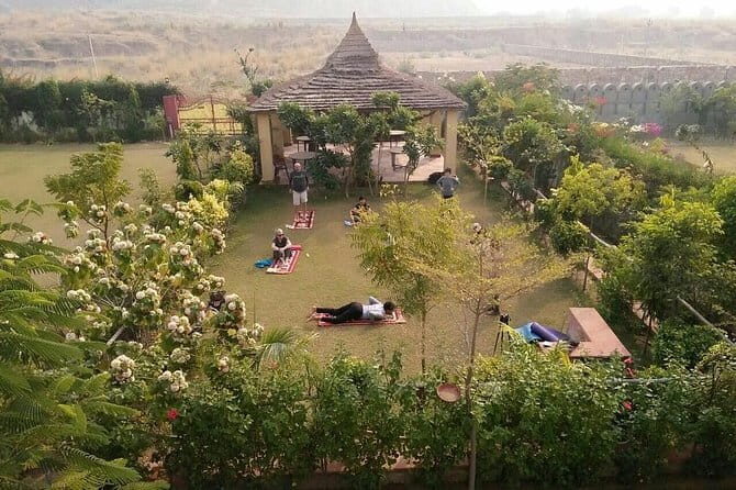 Aravali Exotic Hiking, Yoga with Breakfast - Price and value: is $76.98 worth it?