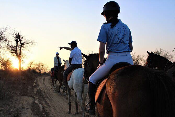Aravali Trail Experience( Jungle Safari Forest area)- Horseback Riding - Key moments that make this ride worth your morning