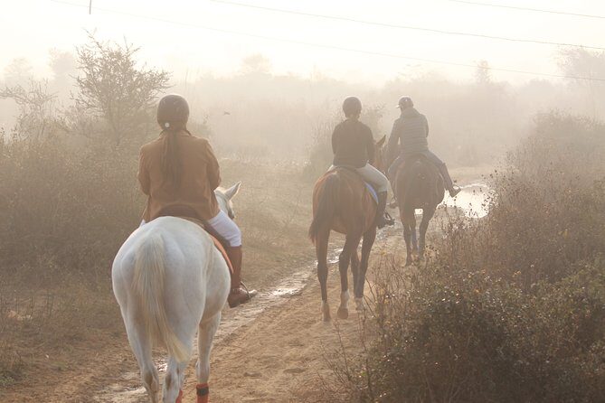 Aravali Trail Experience( Jungle Safari Forest area)- Horseback Riding - Price and time: Getting a private lesson for about $14