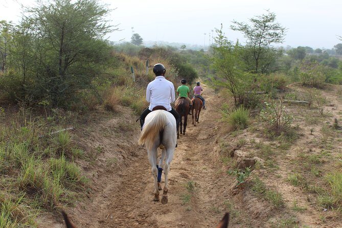 Aravali Trail Experience( Jungle Safari Forest area)- Horseback Riding - What to wear and what to bring (so you don’t miss the fun)