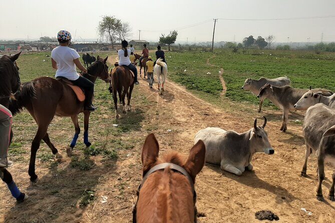 Aravali Trail Experience( Jungle Safari Forest area)- Horseback Riding - What “private horseback riding lesson” really means on the ground
