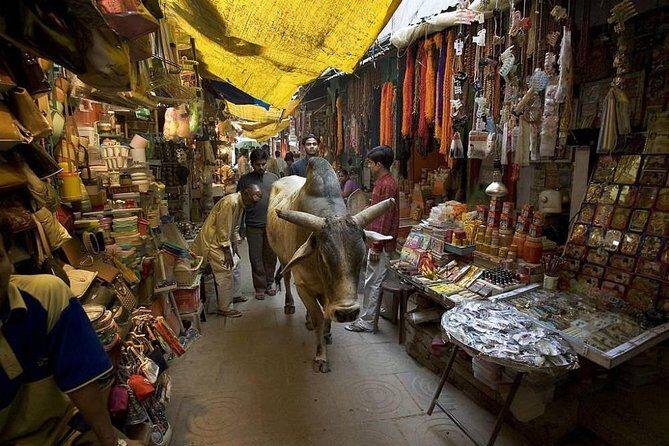 Assi to Manikarnika Walking Tour: Varanasi Ghats & Lanes - Getting Oriented: Meeting Time, Pace, And Practical Expectations