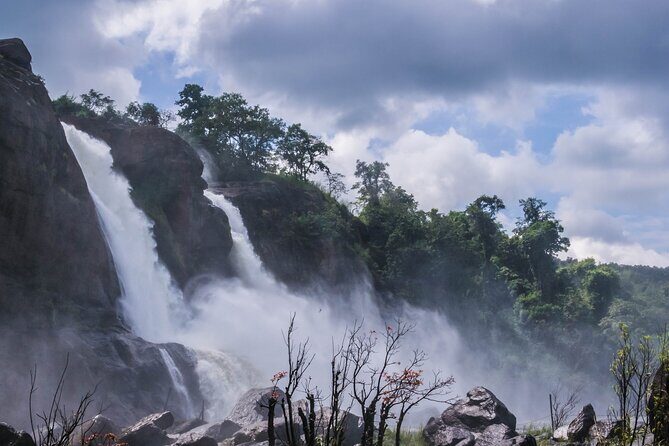 Athirapally Waterfalls from Cochin - Price and logistics: what $99 buys you in real-world comfort