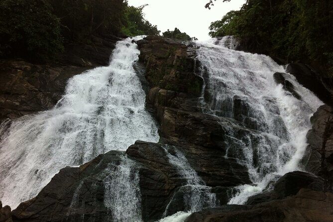 Athirapally Waterfalls from Cochin - Athirapally Falls: seeing the waterfall from top and bottom