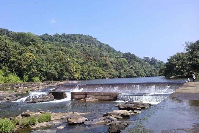 Athirappally & Vazhachal Waterfall Tour with Lunch - Transport, group style, and what the $70.55 actually buys