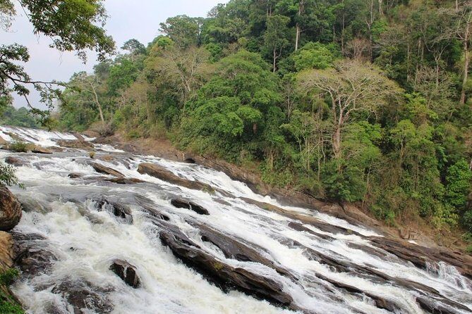 Athirappally & Vazhachal Waterfall Tour with Lunch - Thumboormuzhi Dam & Garden: the quick scenic palate cleanser