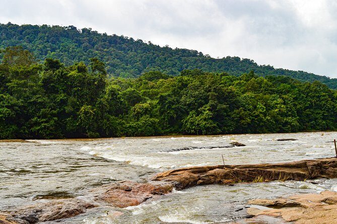Athirappilly Falls & Cherai Beach Bliss - Day Escape from Kochi - Price and logistics: what you’re really paying for