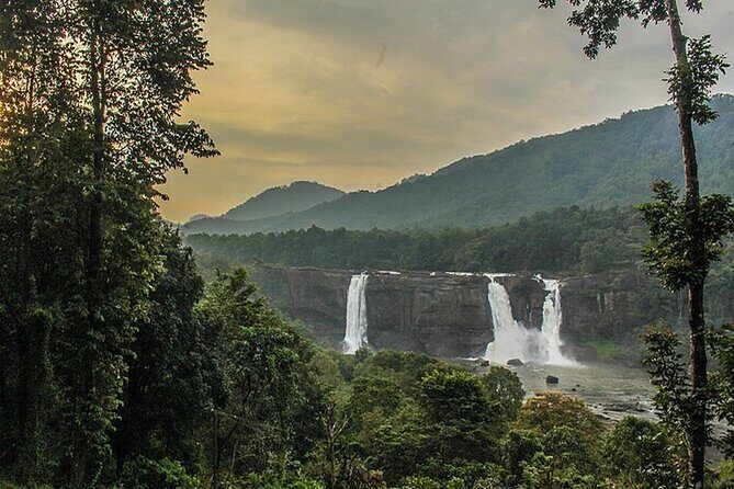 Athirappilly & Vazhachal Waterfalls Private Day Tour from Kochi - Who This Tour Fits Best (and Who Might Want Another Option)