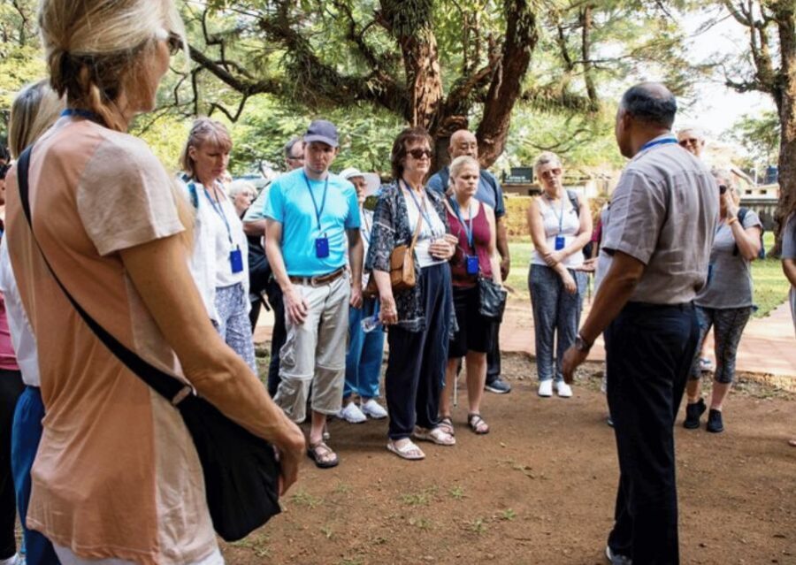 Auroville Guided Walking Tour - Matrimandir Viewpoint: walking the open fields before you look up