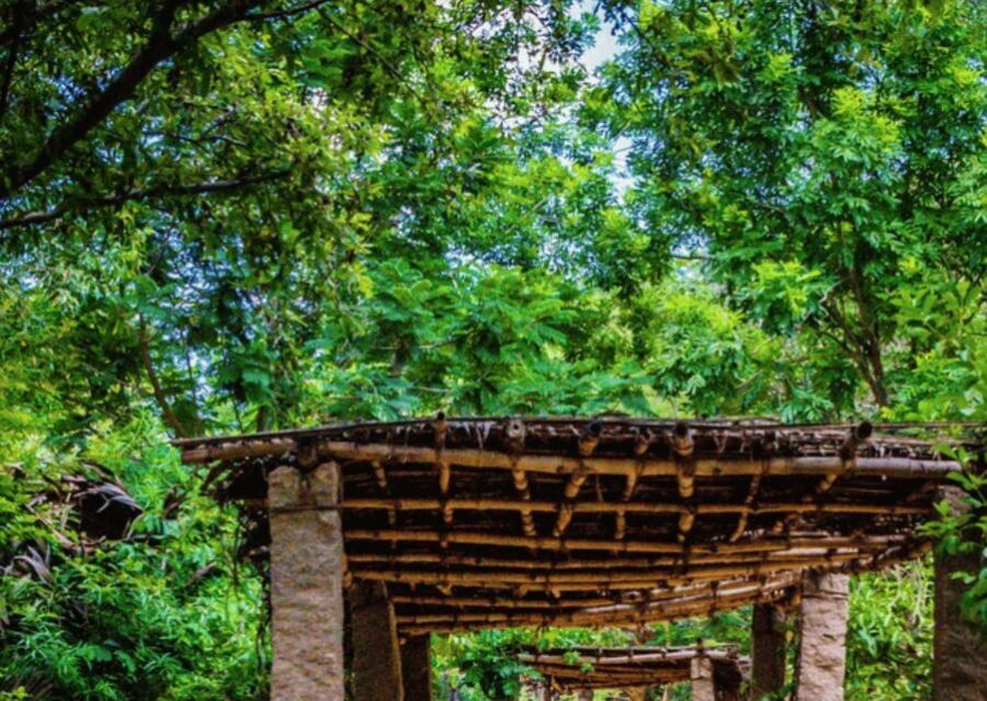 Auroville Guided Walking Tour - End at cafés and trendy markets: turn the walk into a real pause
