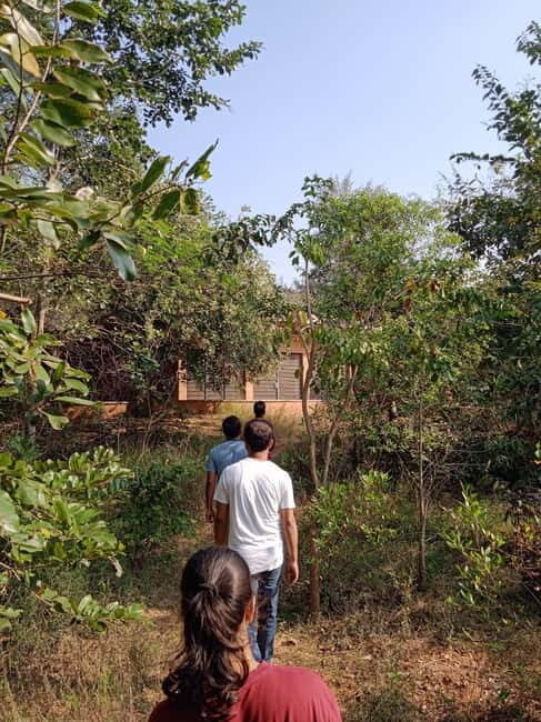 Auroville: Nature Trail Forest Cycling Adventure - Key things I think you’ll enjoy most