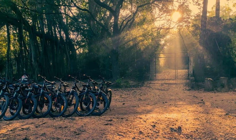 Auroville: Nature Trail Forest Cycling Adventure - Why this Auroville forest route feels different than a normal ride