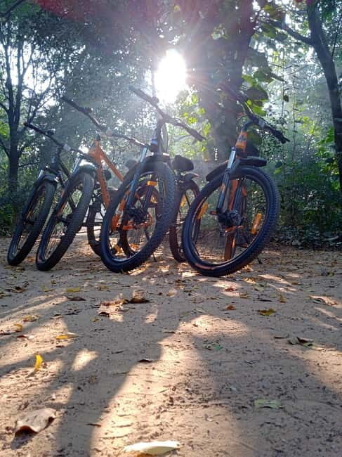 Auroville: Nature Trail Forest Cycling Adventure - Poothurai Road by mountain bike: shade, traction, and quick wins