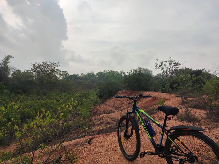 Auroville: Nature Trail Forest Cycling Adventure - Sharan the guide: why the stories make the forest worth it
