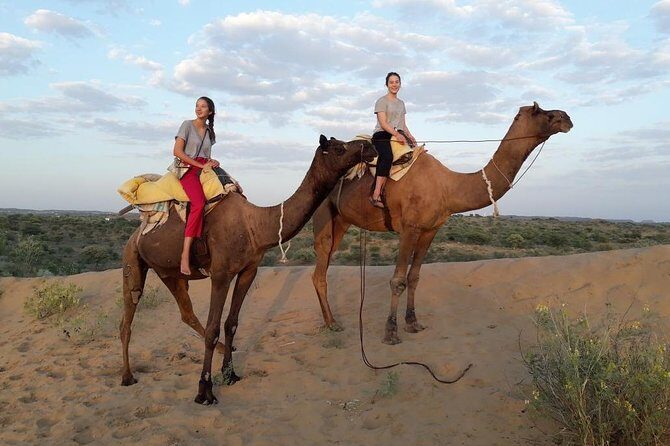 Authentic Camel Safari Experience With Us - From Jodhpur to the desert: why this safari is a smart pick