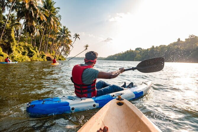 Backwater Kayaking Experience - Key Highlights You’ll Care About