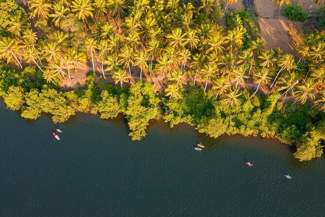 Backwater Kayaking Experience - The 90-Minute Flow: What You’ll Do Step by Step