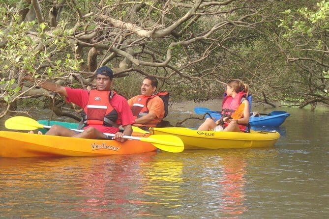 Backwater Kayaking Experience - Logistics That Affect Your Day: Meeting Point and Timing