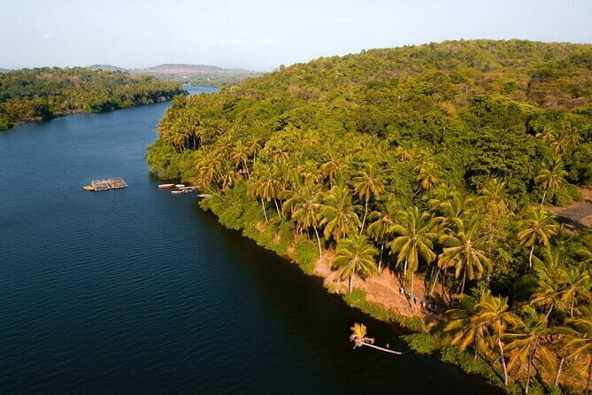 Backwater Kayaking Experience - Mangroves, Birds, and the Ecology You Can Actually See