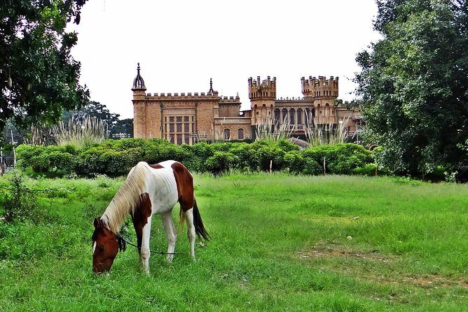 Bangalore - Full Day Private Tour - Lalbagh Botanical Garden: science, conservation, and a rock that’s way older than you