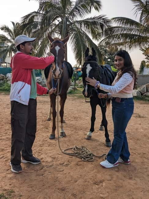 Bangalore: Horse Riding Safari Tour - A Bangalore horse riding safari that starts with your horse