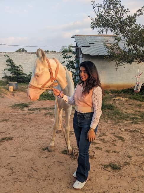Bangalore: Horse Riding Safari Tour - Where the day happens: Kalyan Nagar pickup and the Hennur Bagaluru Road greenery