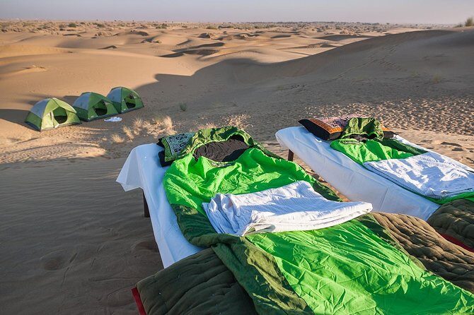 Become a Desert Nomad – Overnight Camel Safari in the Wild - Price and Value: What $62.41 Actually Buys You