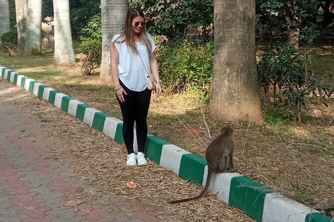 Bengaluru full day Tour with Guide and Authentic lunch - Bangalore Fort and the city’s origin story