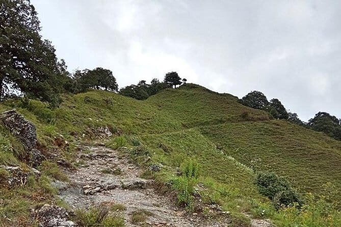 Benog Hill Trek - Key Highlights at a Glance