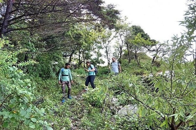 Benog Hill Trek - Benog Tibba Nature Trail: A Day Trek With Temple + Views