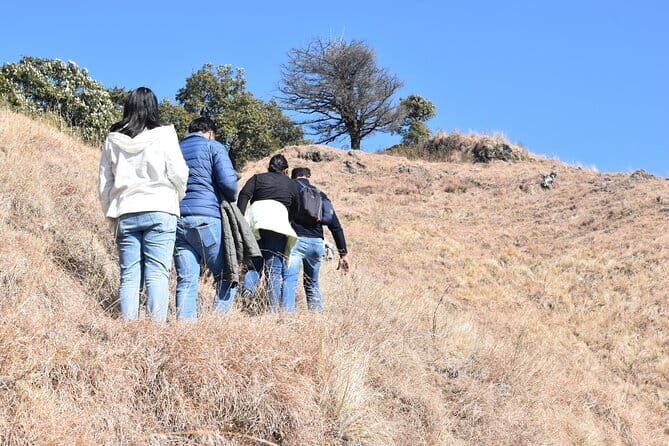 Benog Hill Trek - From Clouds End Up the Tibba: Nature Walk to Big Views