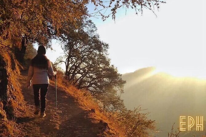 Benog Tibba Day Hike - Mussoorie - Entering Benog Sanctuary: the forest-to-views rhythm