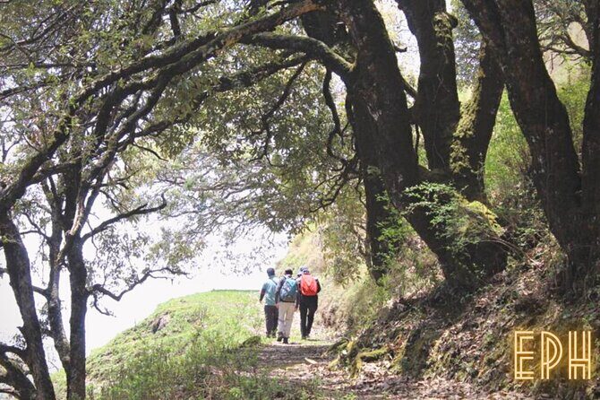 Benog Tibba Day Hike - Mussoorie - The highest point moment: Mussoorie and Himalayan peaks