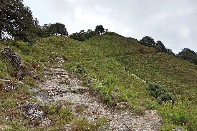 Benog Tibba Nature Trail - Key things I’d circle before you go