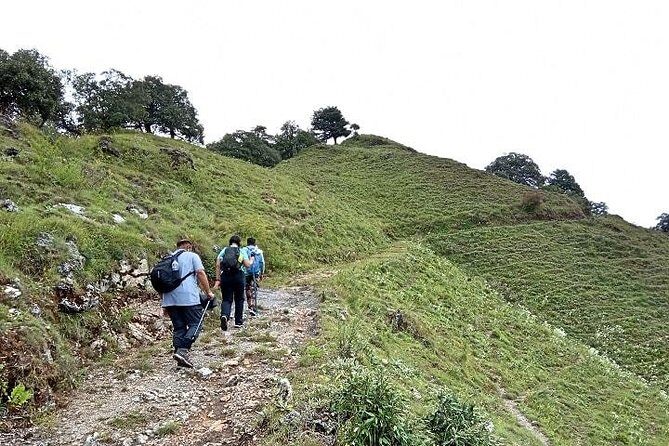 Benog Tibba Nature Trail - Mussourie’s cooler side: what this Benog Tibba day hike is really like