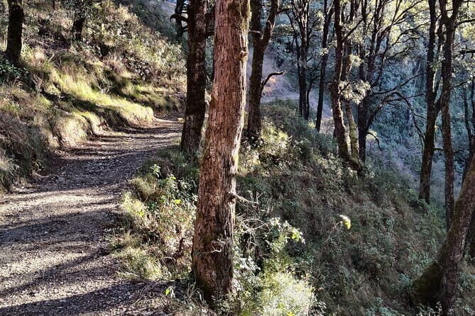 Benog Trek into the Wild - Benog Trek in plain terms: what you’re signing up for