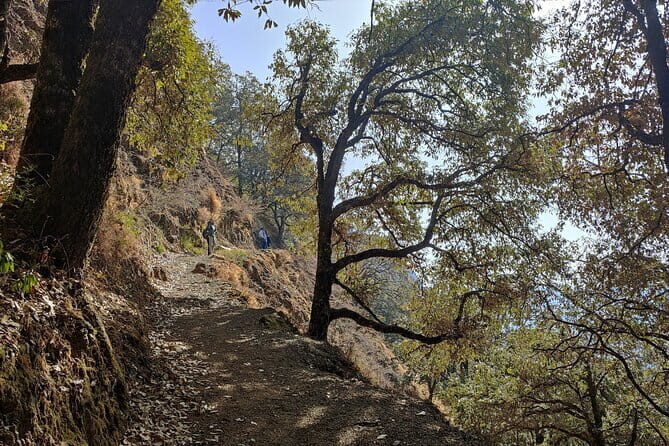 Benog Trek into the Wild - Benog Wildlife Sanctuary: the guided forest that makes birds easier