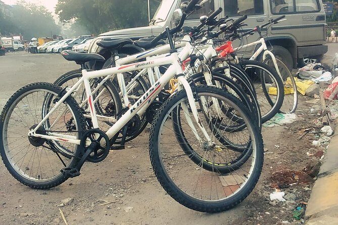 Best Bicycle Tour In Mumbai - Marine Drive’s Sea-Linked Promenade and Sassoon Dock’s 1875 Story