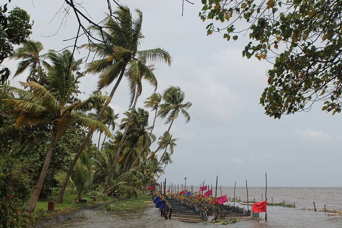 Best of Kerala - Kerala’s best of Kochi and Alleppey, in 3 days